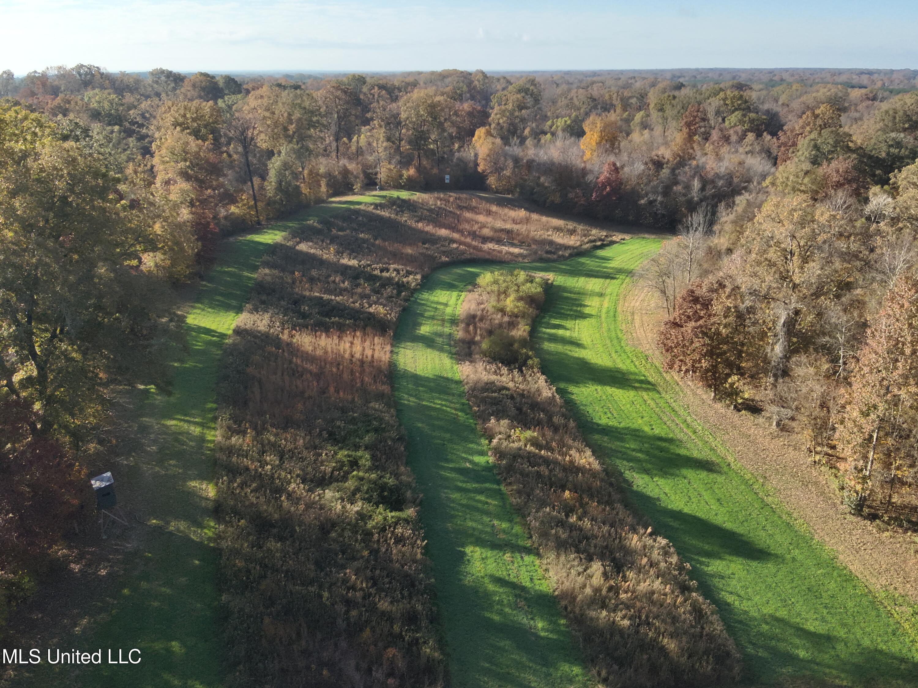 Paradise Road Bentonia, MS 39040 - Photo 15 of 42 DJI_20251118084327_0028_V