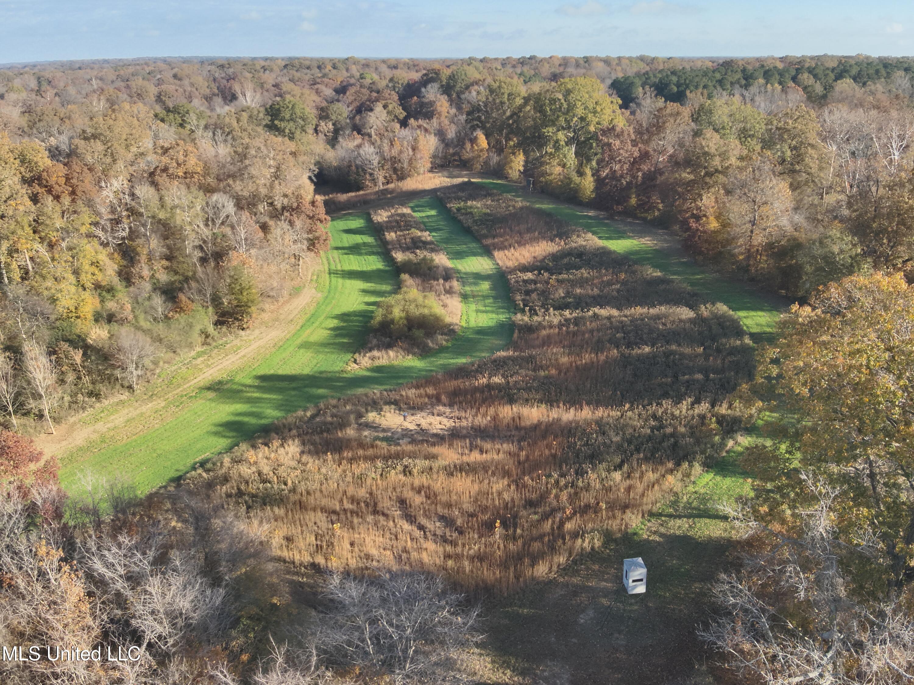 Paradise Road Bentonia, MS 39040 - Photo 16 of 42 DJI_20251118084406_0029_V