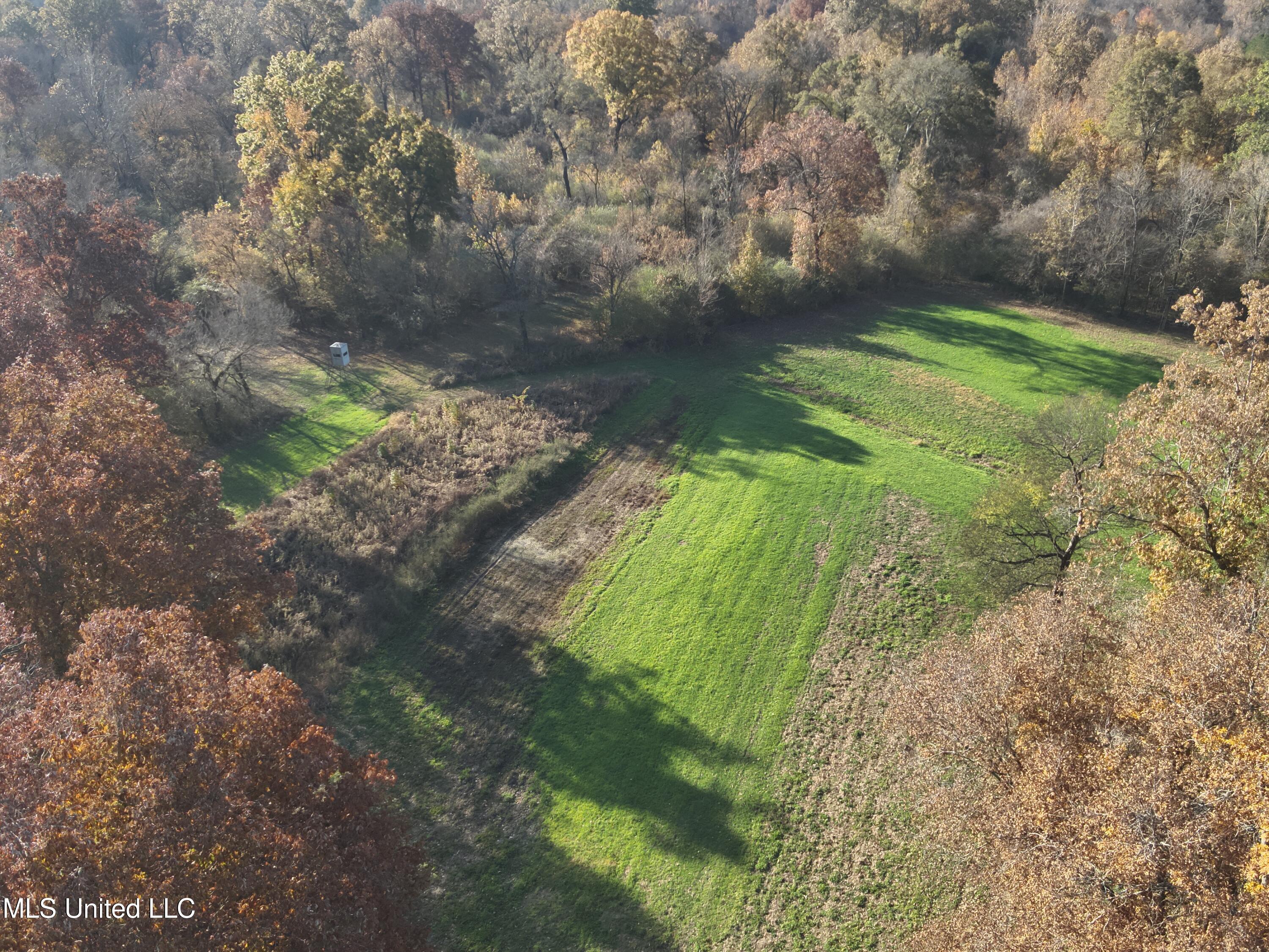 Paradise Road Bentonia, MS 39040 - Photo 20 of 42 DJI_20251118084709_0036_V