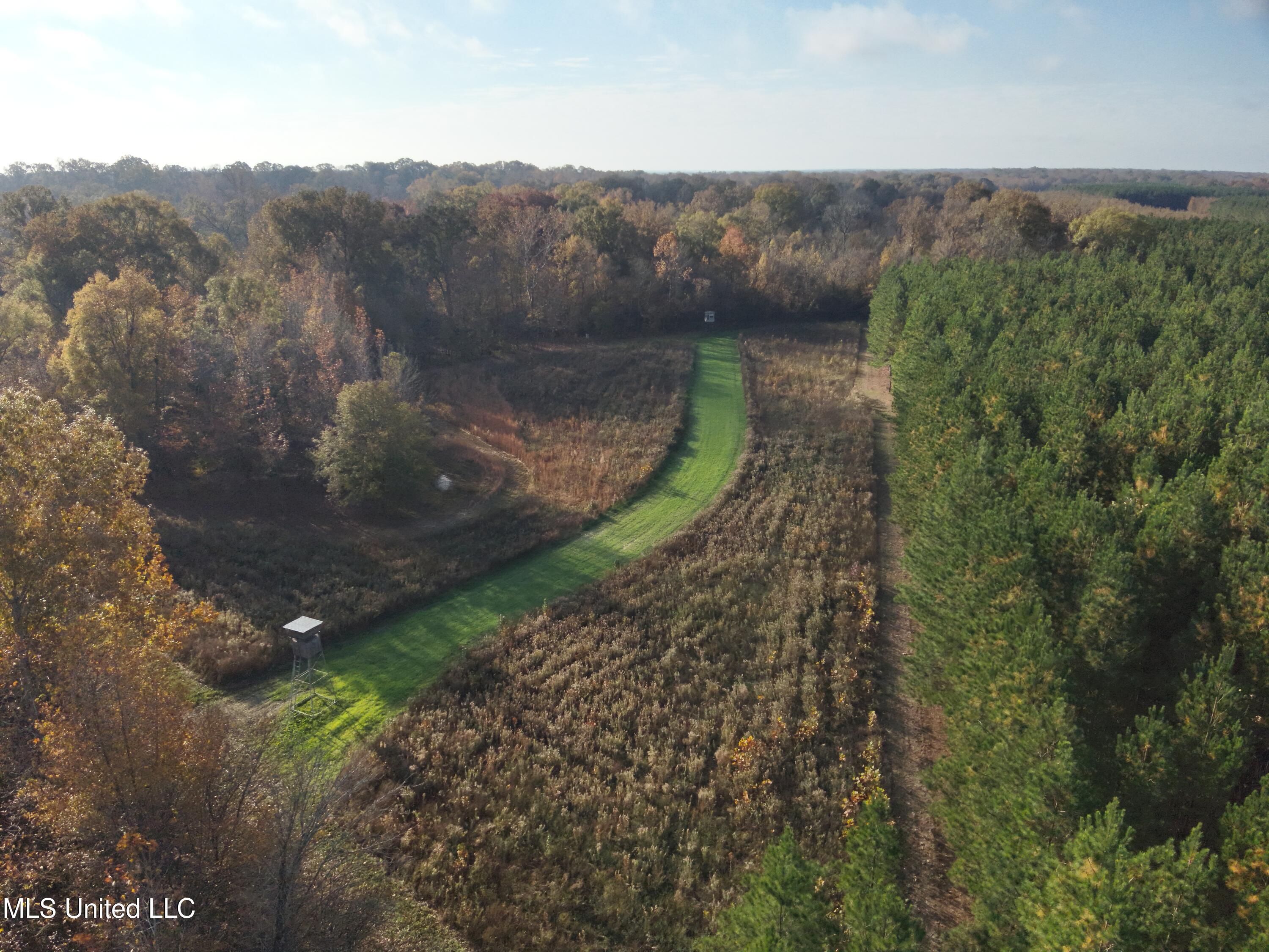 Paradise Road Bentonia, MS 39040 - Photo 2 of 42 DJI_20251117141722_0001_V