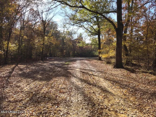 $1,754,445 | Paradise Road, Bentonia, MS 39040