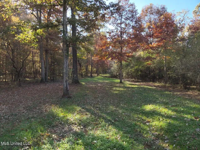 $1,754,445 | Paradise Road, Bentonia, MS 39040