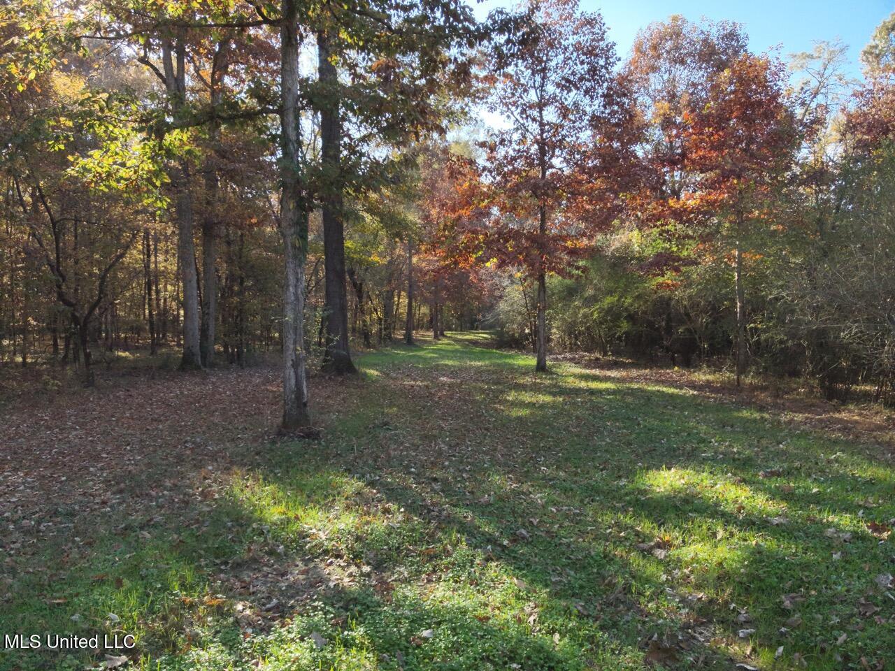 Paradise Road Bentonia, MS 39040 - Photo 25 of 42 DJI_20251118091456_0019_V Large
