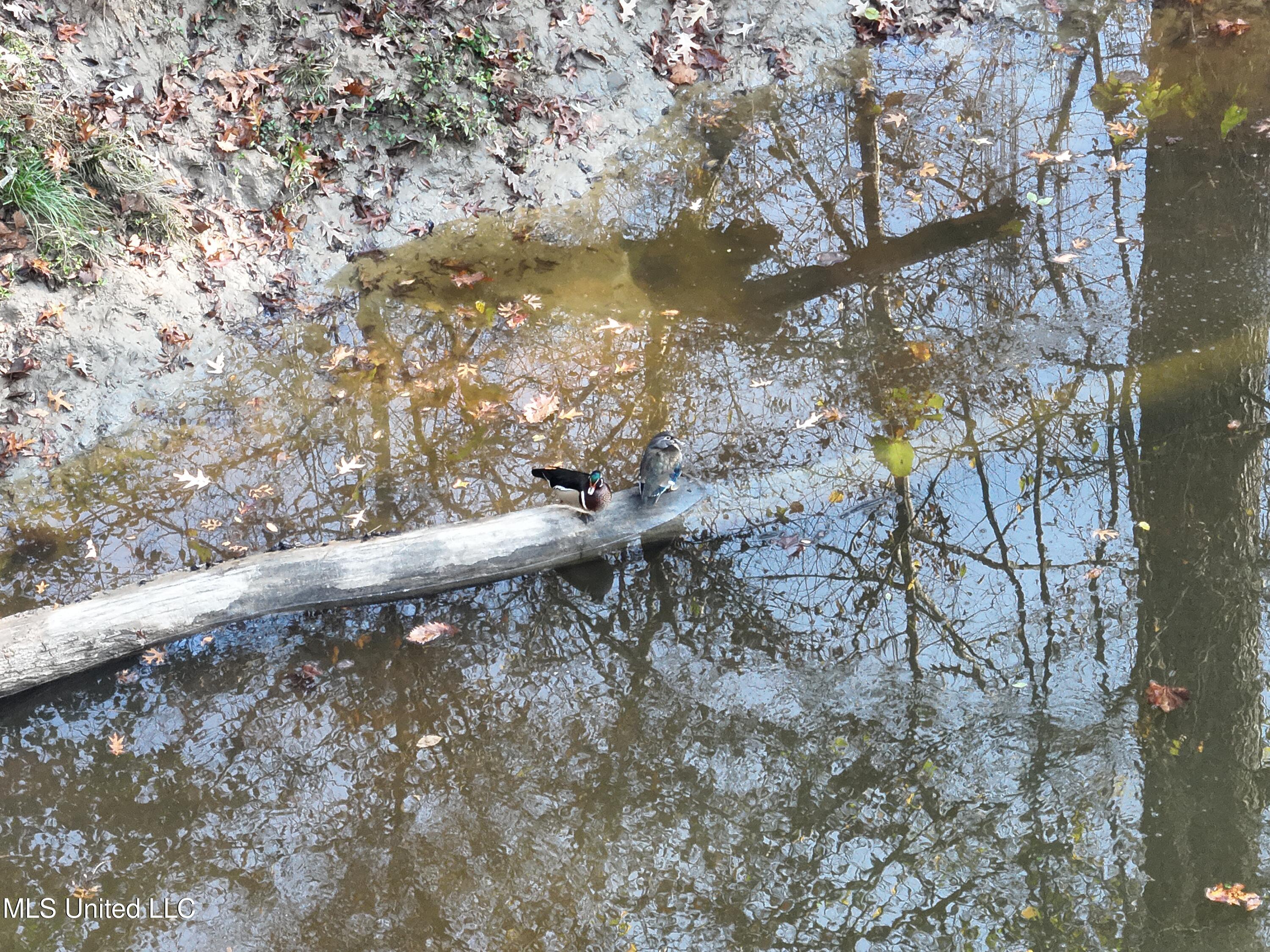 Paradise Road Bentonia, MS 39040 - Photo 29 of 42 DJI_20251124092812_0012_V