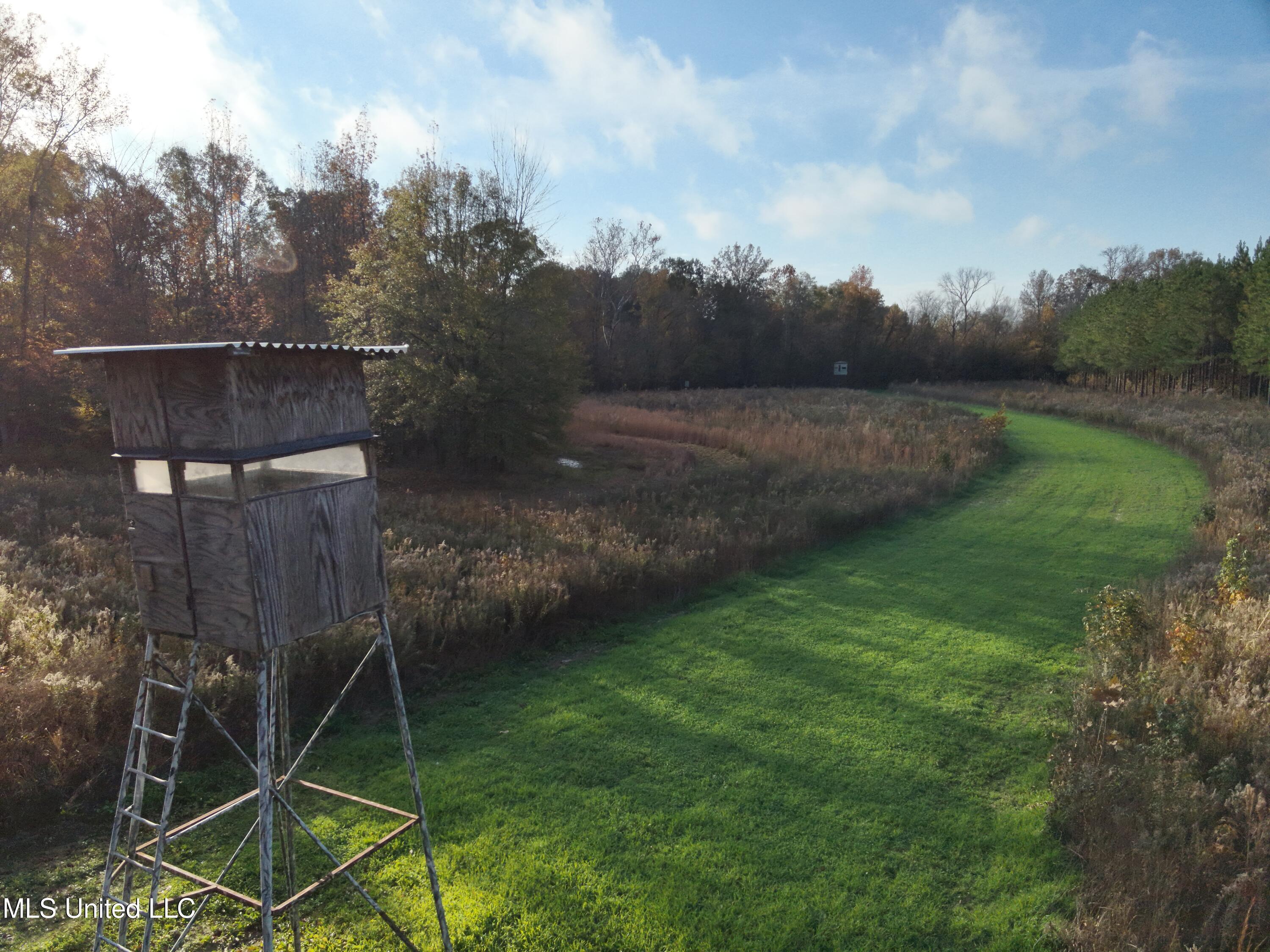 Paradise Road Bentonia, MS 39040 - Photo 3 of 42 DJI_20251118082758_0002_V