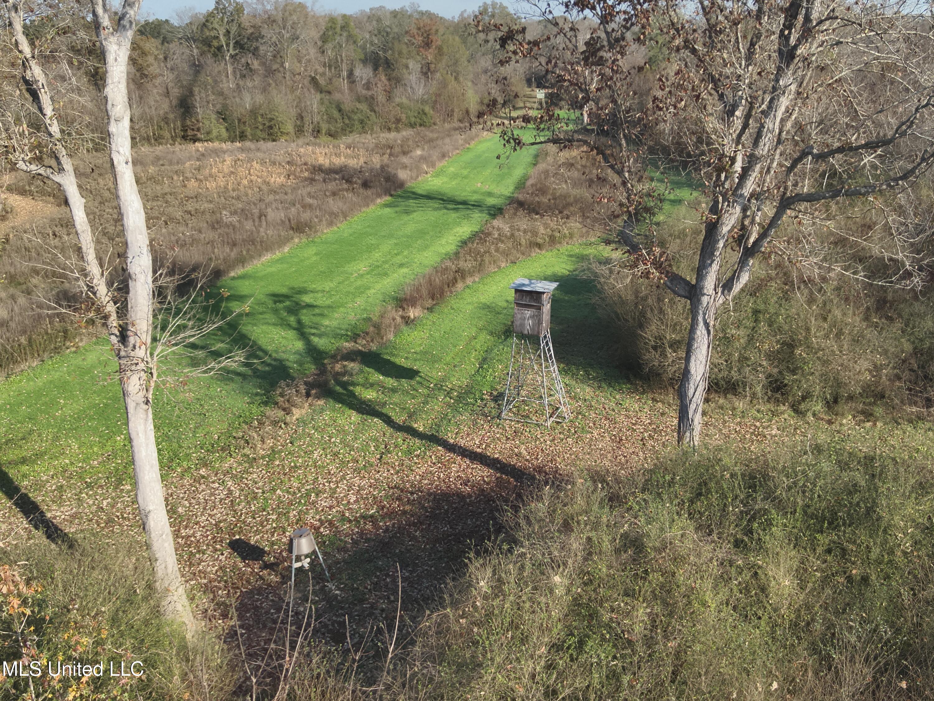 Paradise Road Bentonia, MS 39040 - Photo 32 of 42 DJI_20251124092337_0008_V