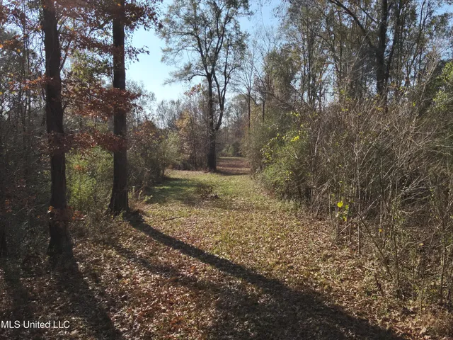 $1,754,445 | Paradise Road, Bentonia, MS 39040