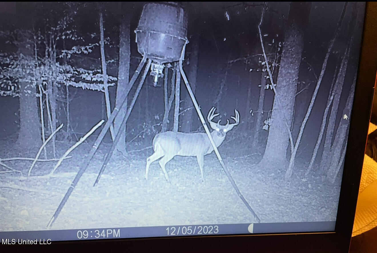 Paradise Road Bentonia, MS 39040 - Photo 35 of 42 IMG_AD6400ECE74D-1