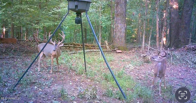 $1,754,445 | Paradise Road, Bentonia, MS 39040