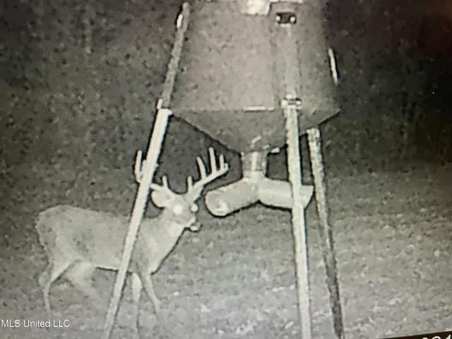 $1,754,445 | Paradise Road, Bentonia, MS 39040