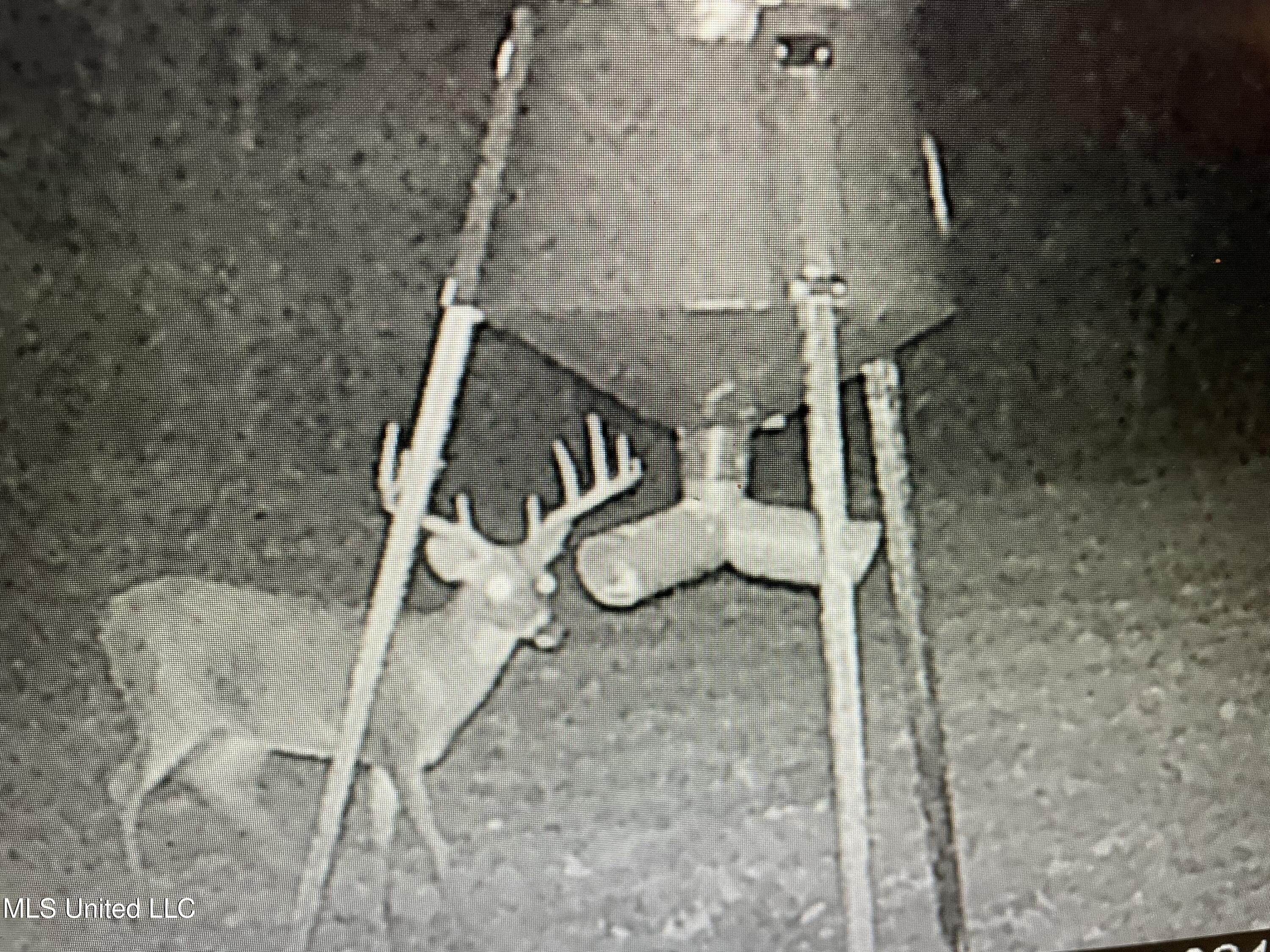 Paradise Road Bentonia, MS 39040 - Photo 37 of 42 IMG_1048