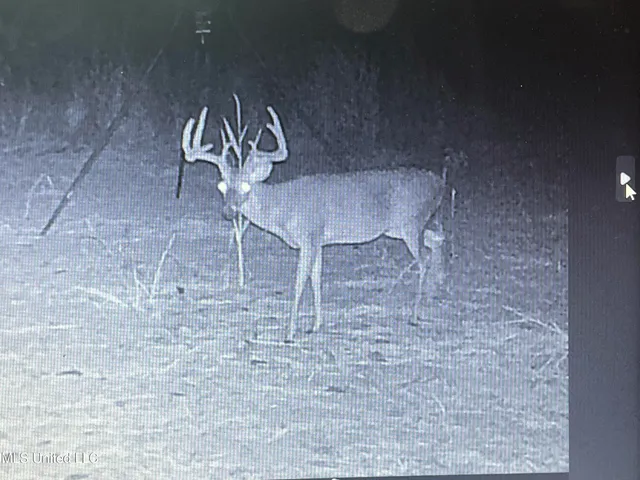 $1,754,445 | Paradise Road, Bentonia, MS 39040