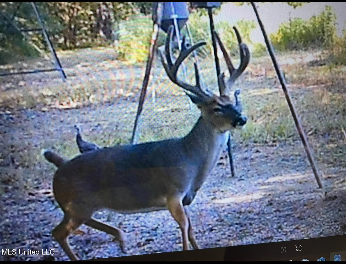 Paradise Road Bentonia, MS 39040 - Photo 40 of 42 IMG_BA88B94A950C-1