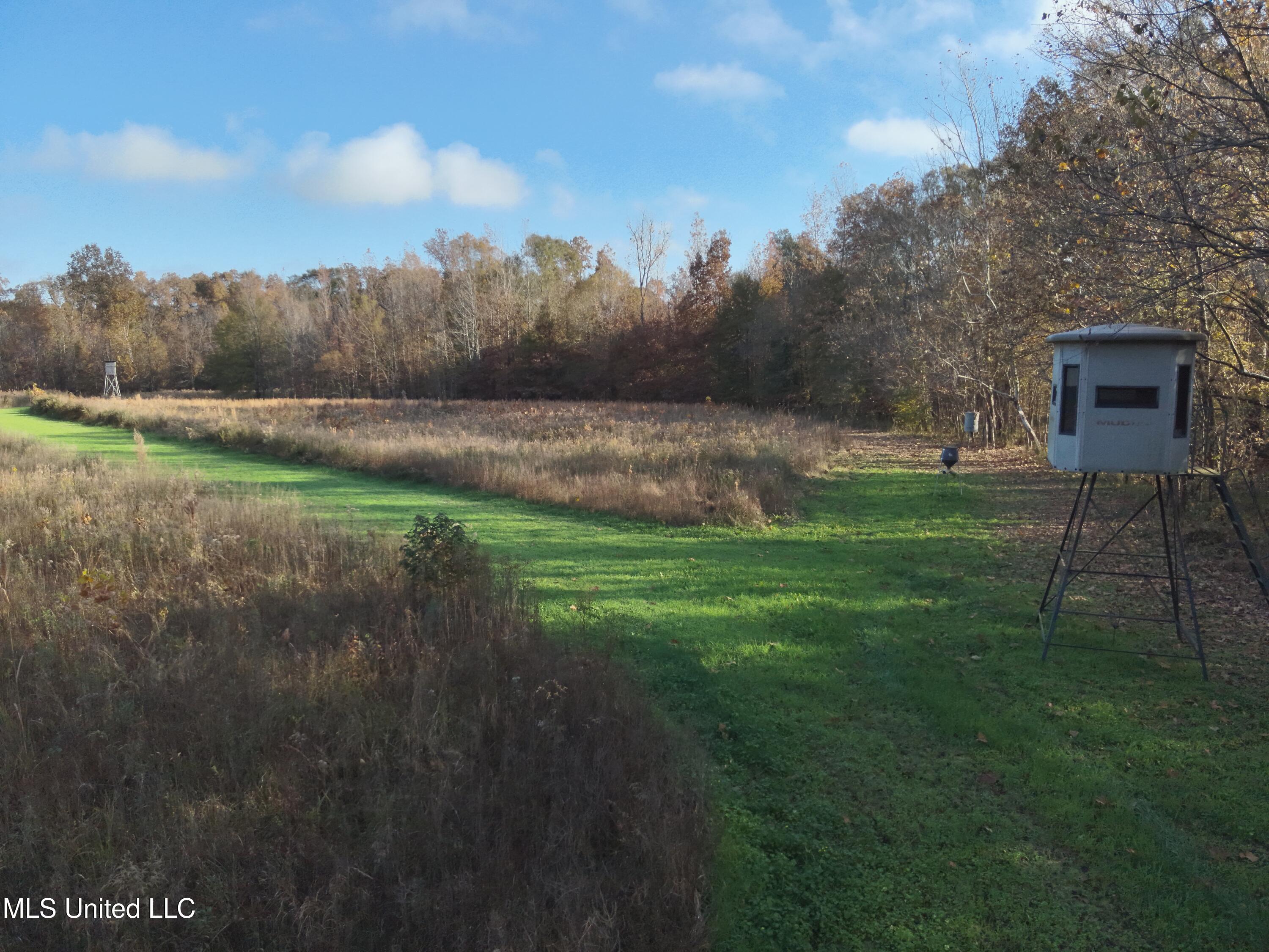 Paradise Road Bentonia, MS 39040 - Photo 4 of 42 DJI_20251118083001_0004_V