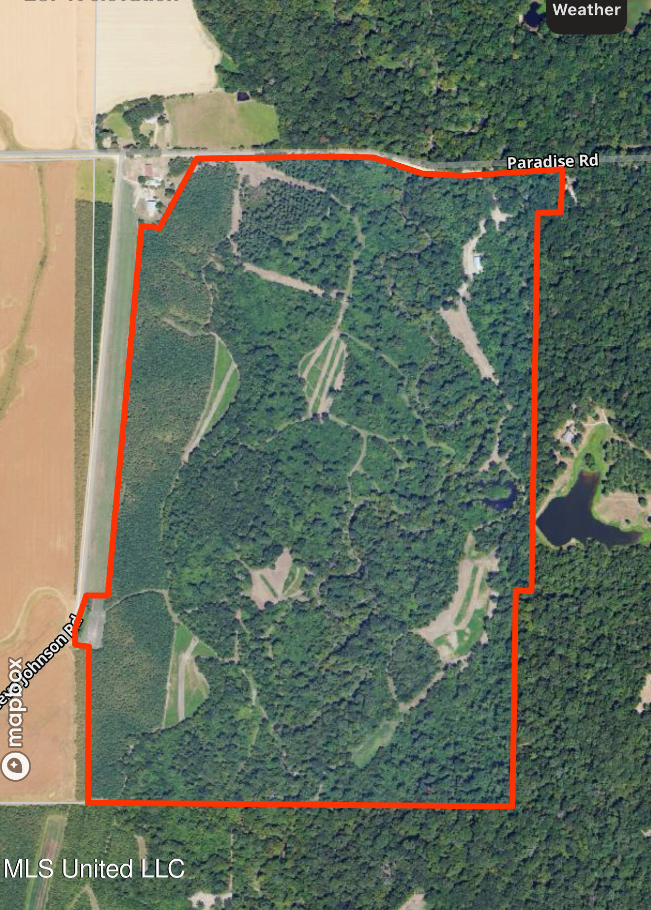 Paradise Road Bentonia, MS 39040 - Photo 42 of 42 IMG_824CB34DFF0A-1