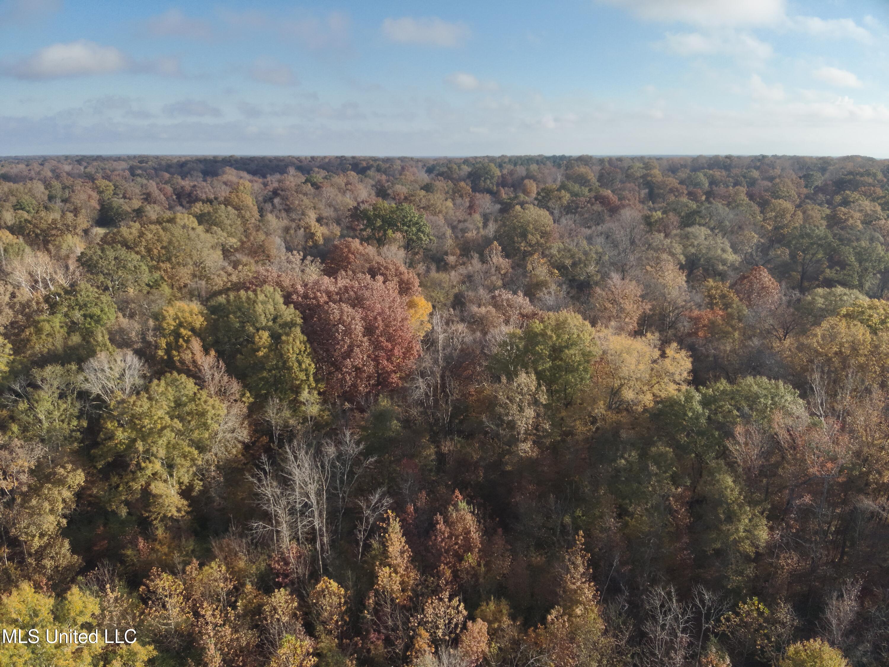 Paradise Road Bentonia, MS 39040 - Photo 5 of 42 DJI_20251118083119_0007_V