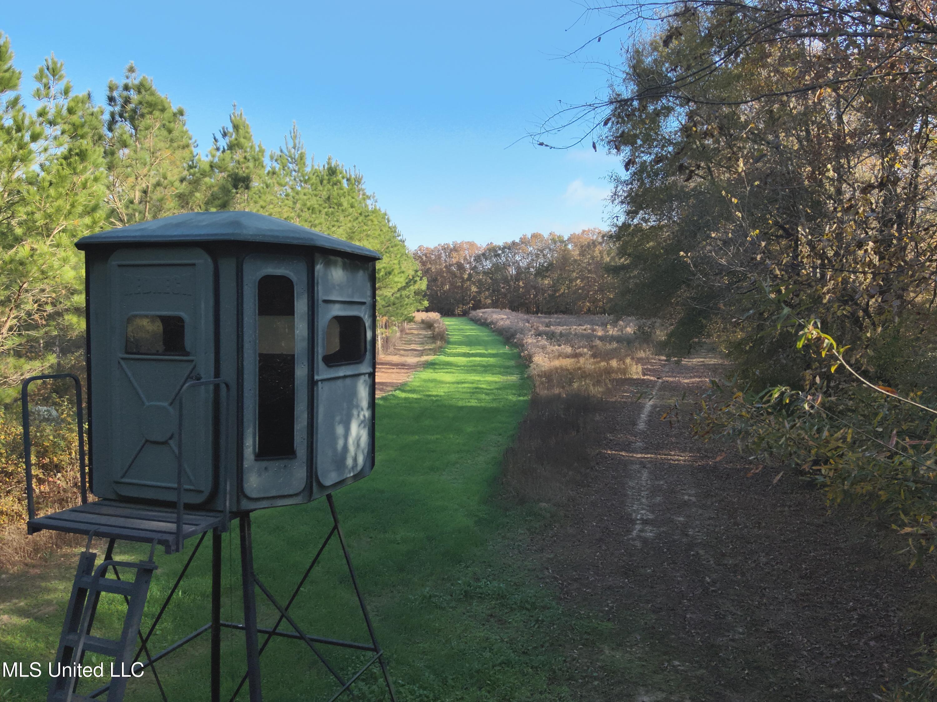 Paradise Road Bentonia, MS 39040 - Photo 7 of 42 DJI_20251118083439_0013_V