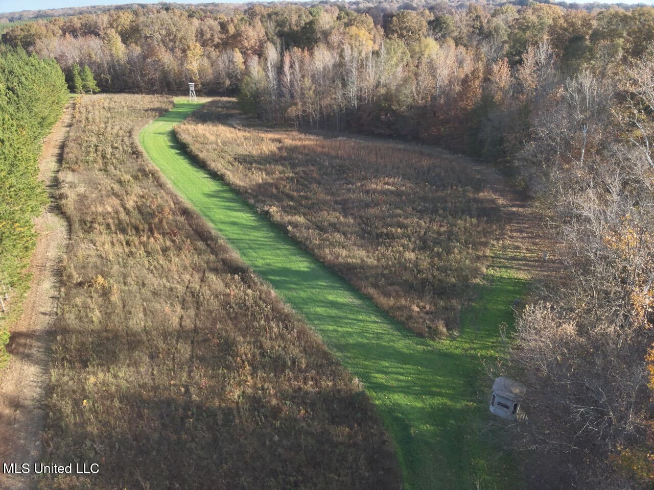 Paradise Road Bentonia, MS 39040 - Photo 8 of 42 DJI_20251118083033_0005_V Large