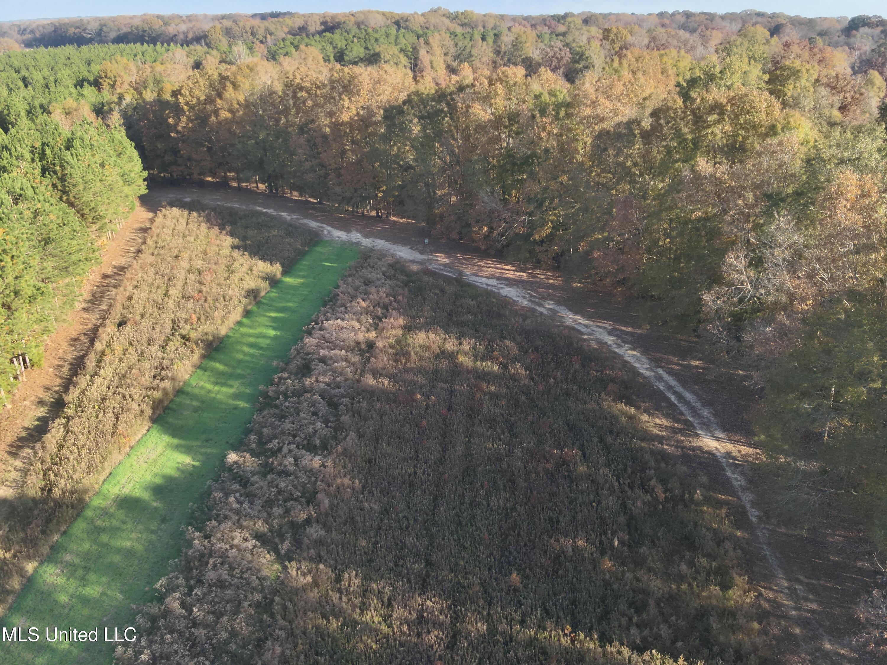 Paradise Road Bentonia, MS 39040 - Photo 9 of 42 DJI_20251118083533_0015_V