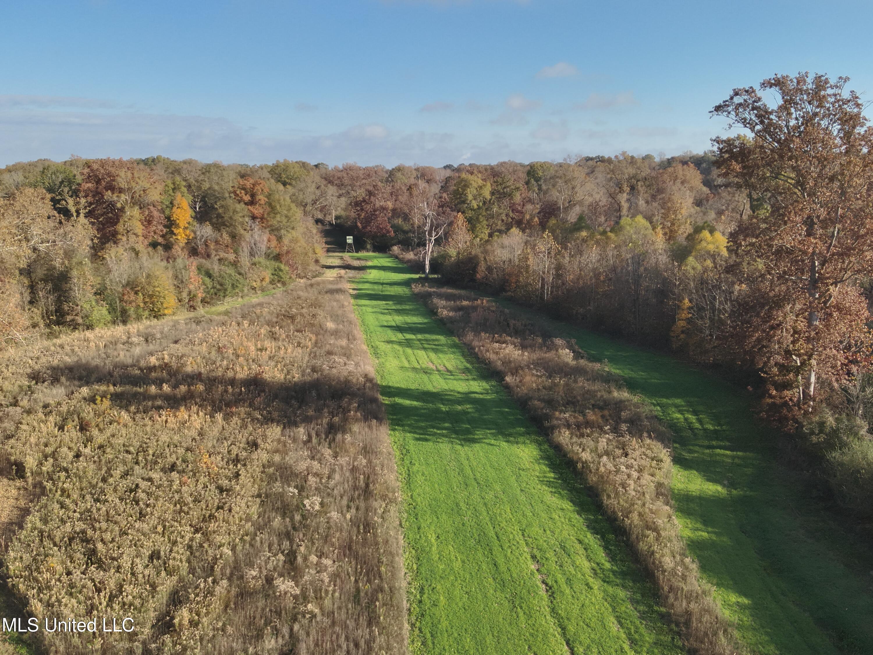 Paradise Road Bentonia, MS 39040 - Photo 10 of 42 DJI_20251118083633_0018_V