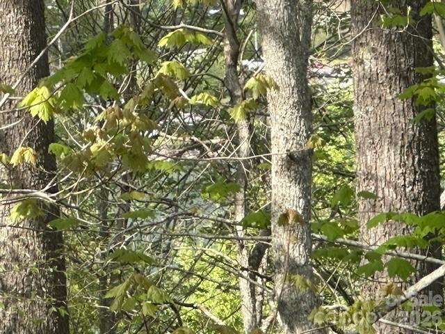 134 Mossy Rdg Road Cullowhee, NC 28723 - Photo 15 of 15