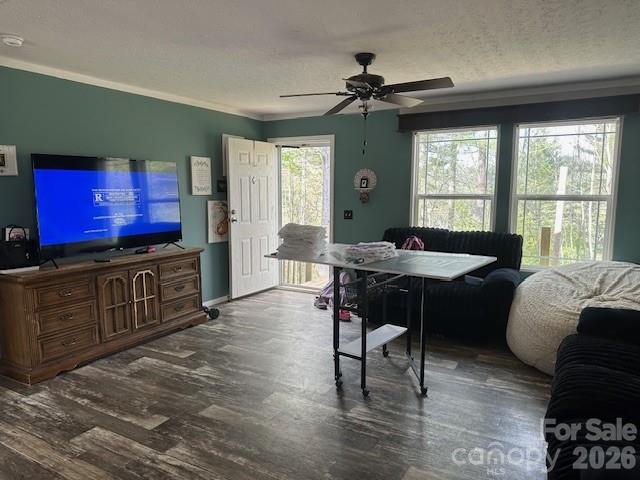 134 Mossy Rdg Road Cullowhee, NC 28723 - Photo 3 of 15