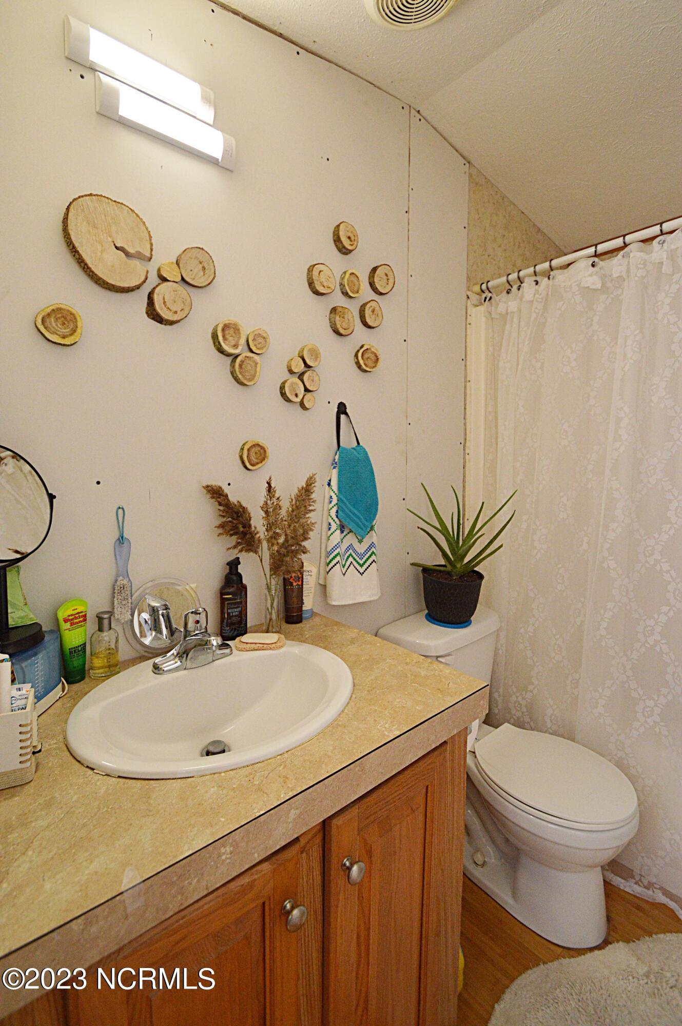 228 Hopkins Seafood Road Belhaven, NC 27810 - Photo 38 of 40 guest bath