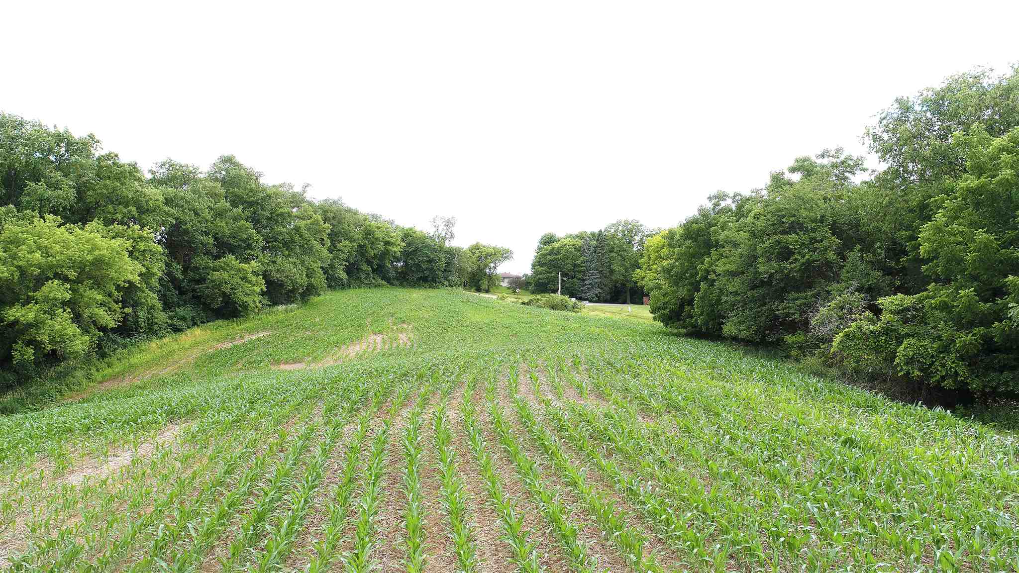 3223 Harts Mill Road Clinton, IA 52732 - Photo 10 of 18 Gallery Image 10