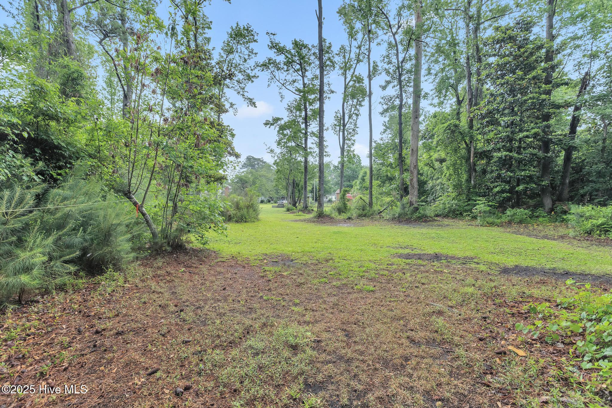 2601 Mayberry Loop Road Morehead City, NC 28557 - Photo 24 of 39 IMG_0903