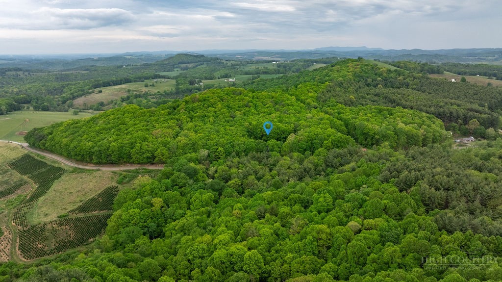 970 Vox Road Sparta, NC 28675 - Photo 49 of 50 an aerial view of residential houses with outdoor space and trees