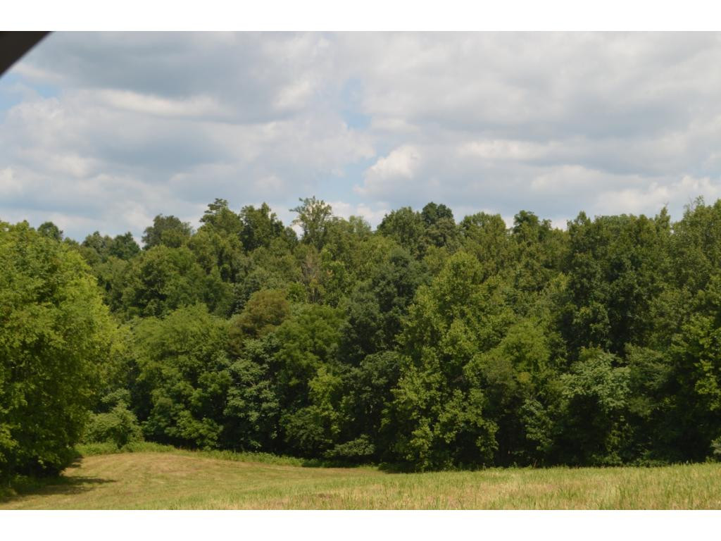 0 West Allens Bridge Road Greeneville, TN 37743 - Photo 2 of 3 Photo 2