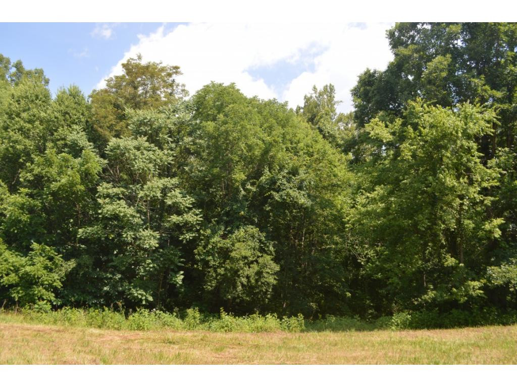 0 West Allens Bridge Road Greeneville, TN 37743 - Photo 3 of 3 Photo 3