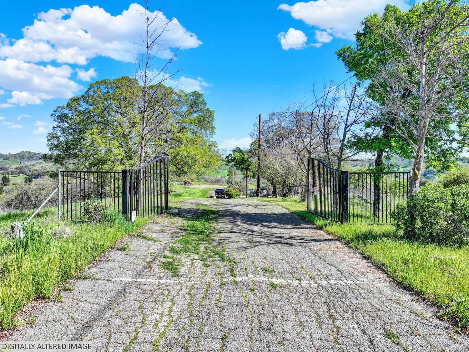 a view of a yard with plants and trees