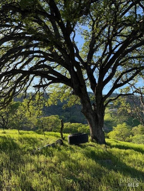 6958 Oak Tree Trail Vacaville, CA 95688 - Photo 12 of 22 a view of backyard with green space