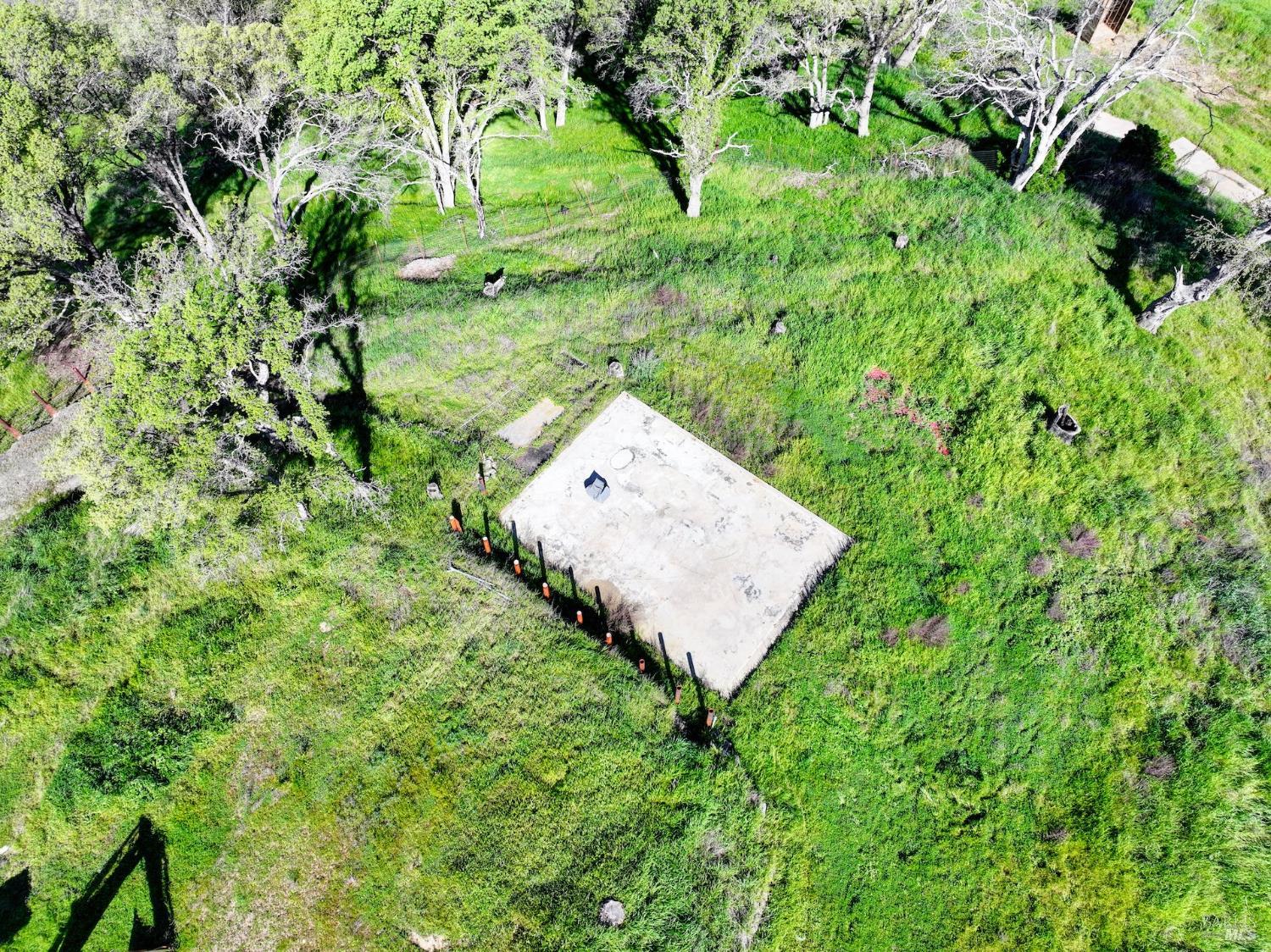 6958 Oak Tree Trail Vacaville, CA 95688 - Photo 5 of 22 a view of a garden with a tree