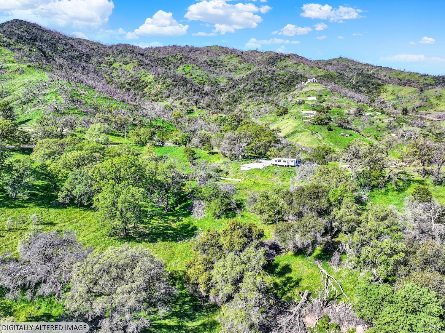 6958 Oak Tree Trail Vacaville, CA 95688 - Photo 10 of 22 a view of a lush green forest with lots of trees