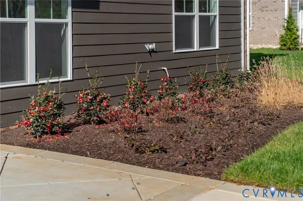 a view of a back yard