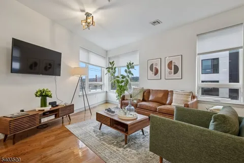 a living room with furniture and a potted plant