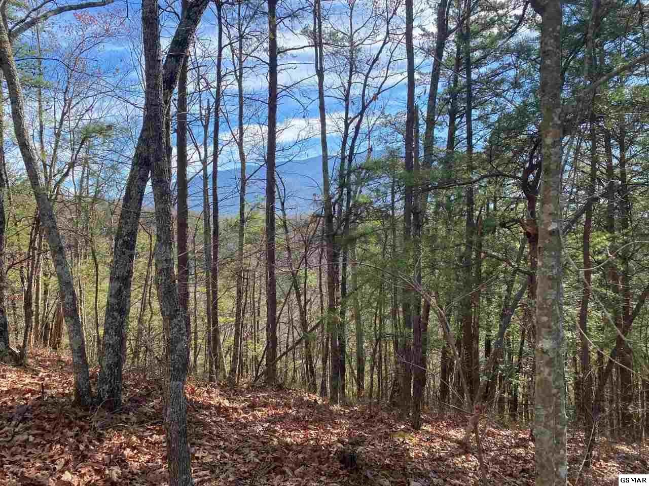70 Big Bear Ridge Road Gatlinburg, TN 37738 - Photo 10 of 11