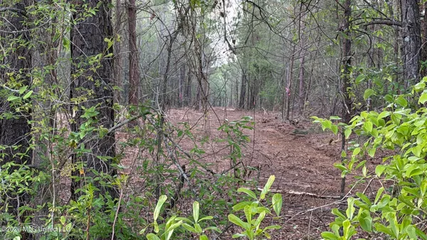 $28,000 | Us-80, Lawrence, MS 39336