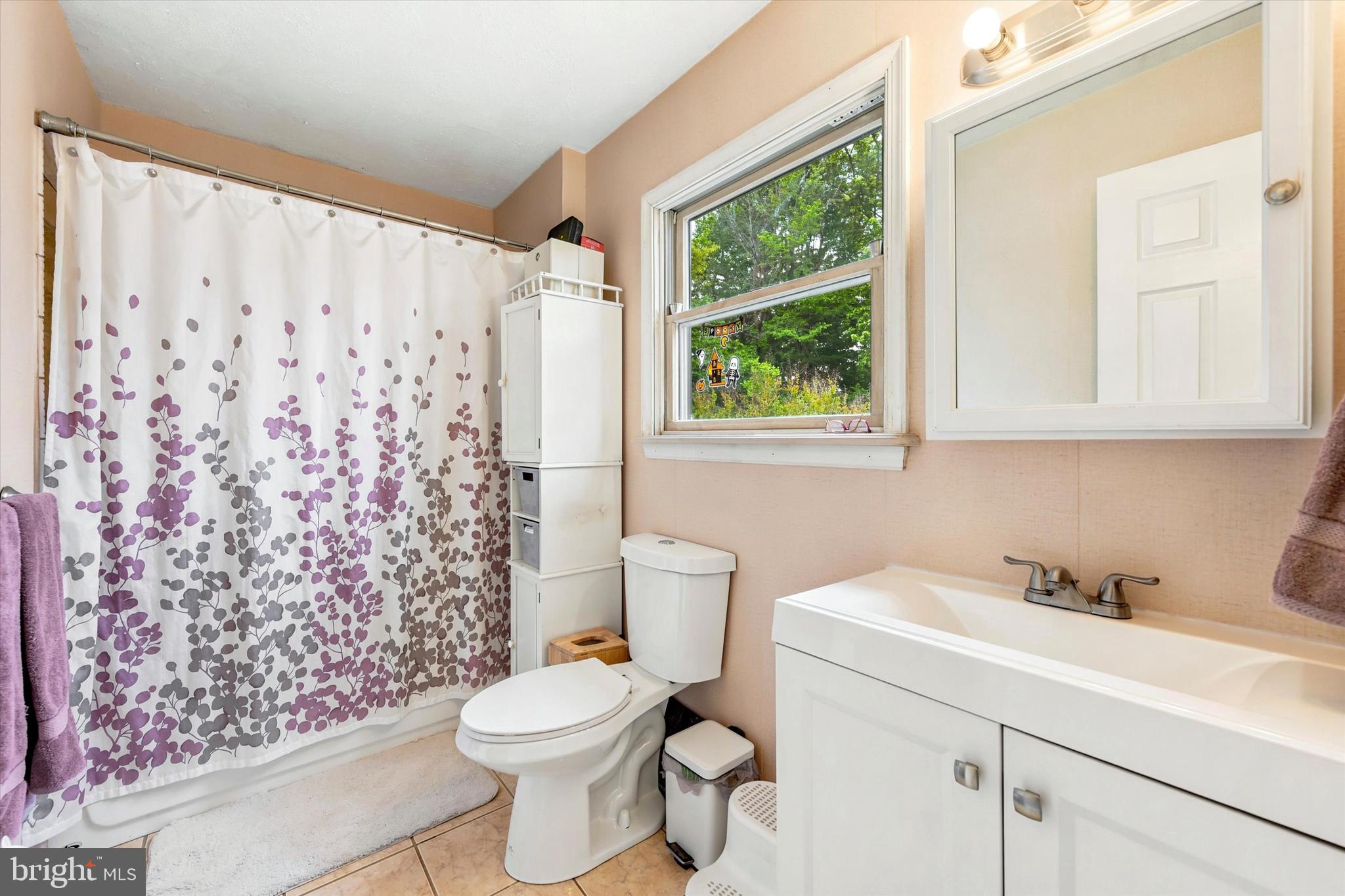 319 Willowbrook Road Upper Chichester, PA 19061 - Photo 11 of 24 a bathroom with a sink toilet and shower