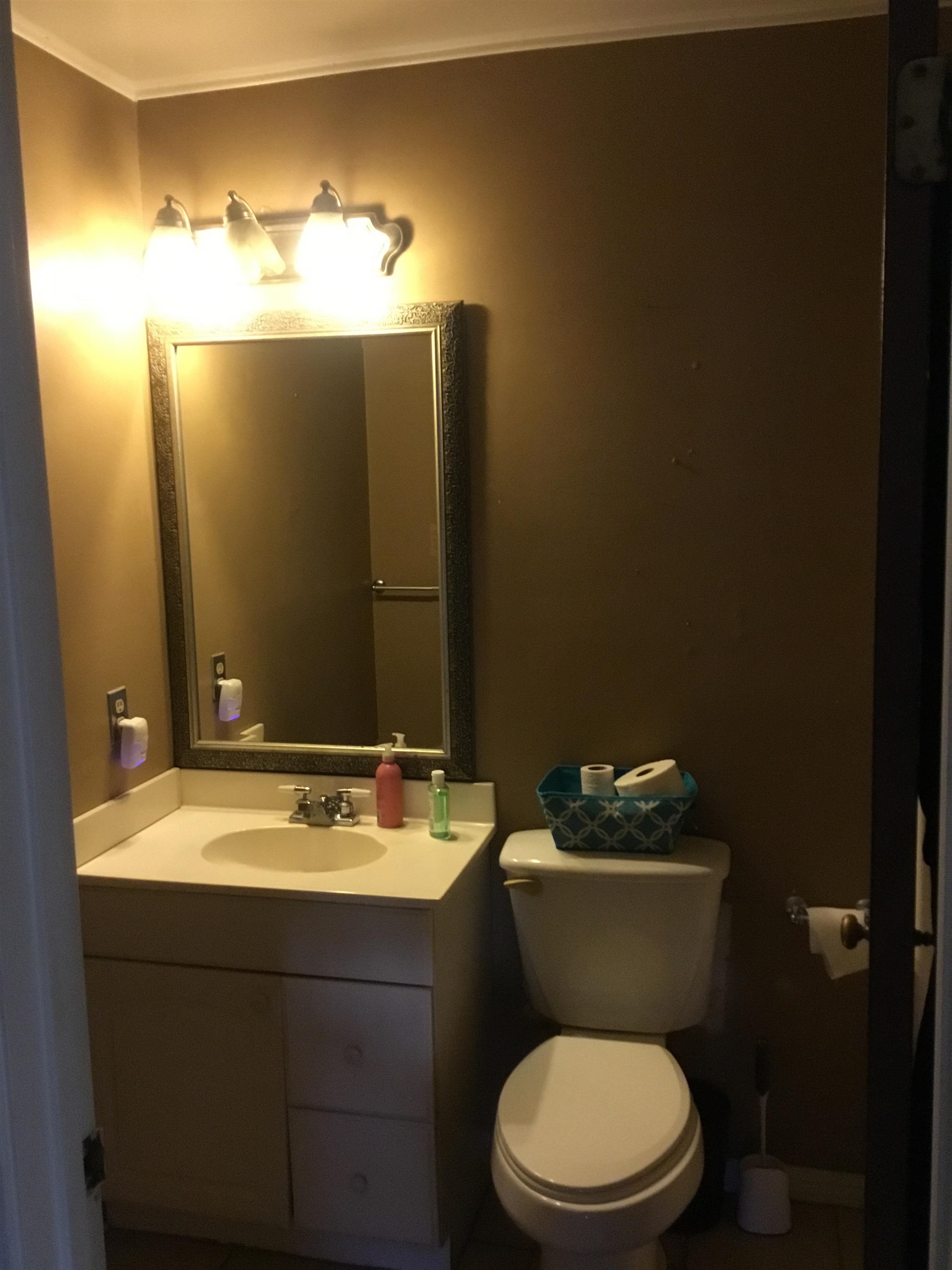 367 Crabtree Road Selmer, TN 38375 - Photo 12 of 23 a bathroom with a sink vanity mirror and toilet