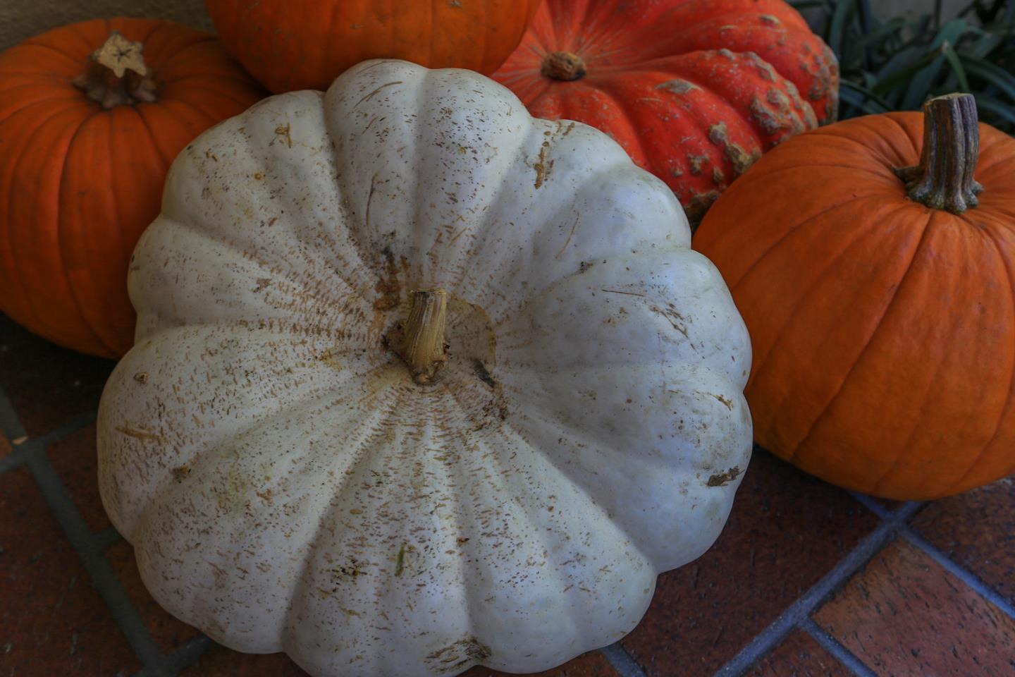 2160 Middlefield Road Palo Alto, CA 94301 - Photo 24 of 24