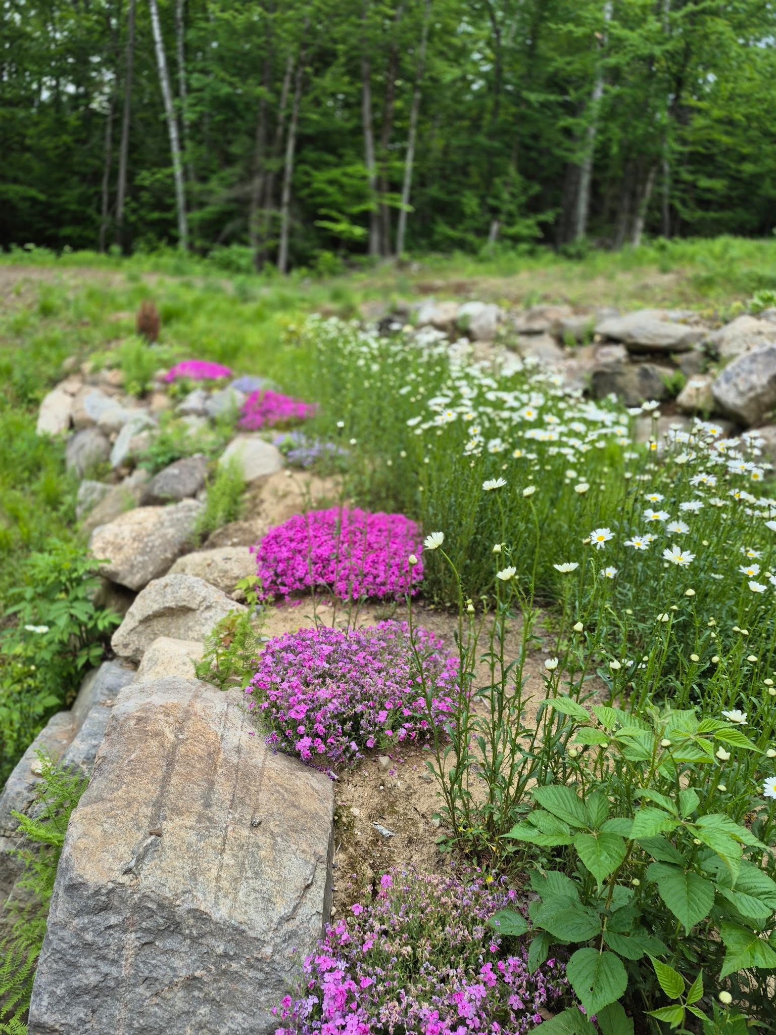 71 Ellsworth Pond Road Ellsworth, NH 03223 - Photo 38 of 60 Gallery Image 38