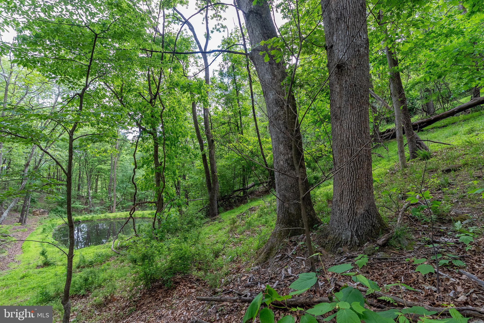 2598 Mountain View Road Purgitsville, WV 26852 - Photo 83 of 89