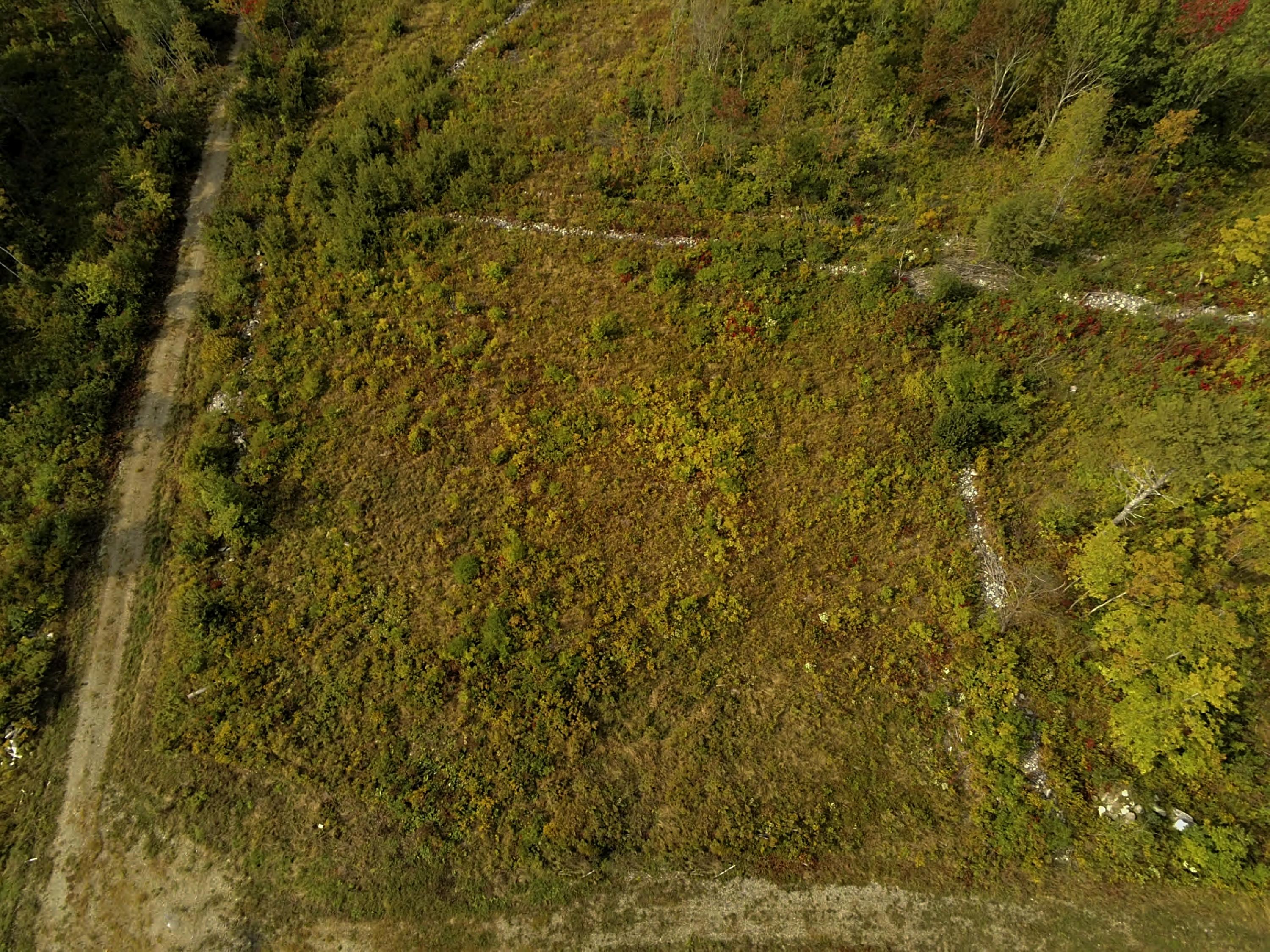 0 Clary Hill Road Union, ME 04862 - Photo 13 of 17 17-Emmett Hart Rd-JAC