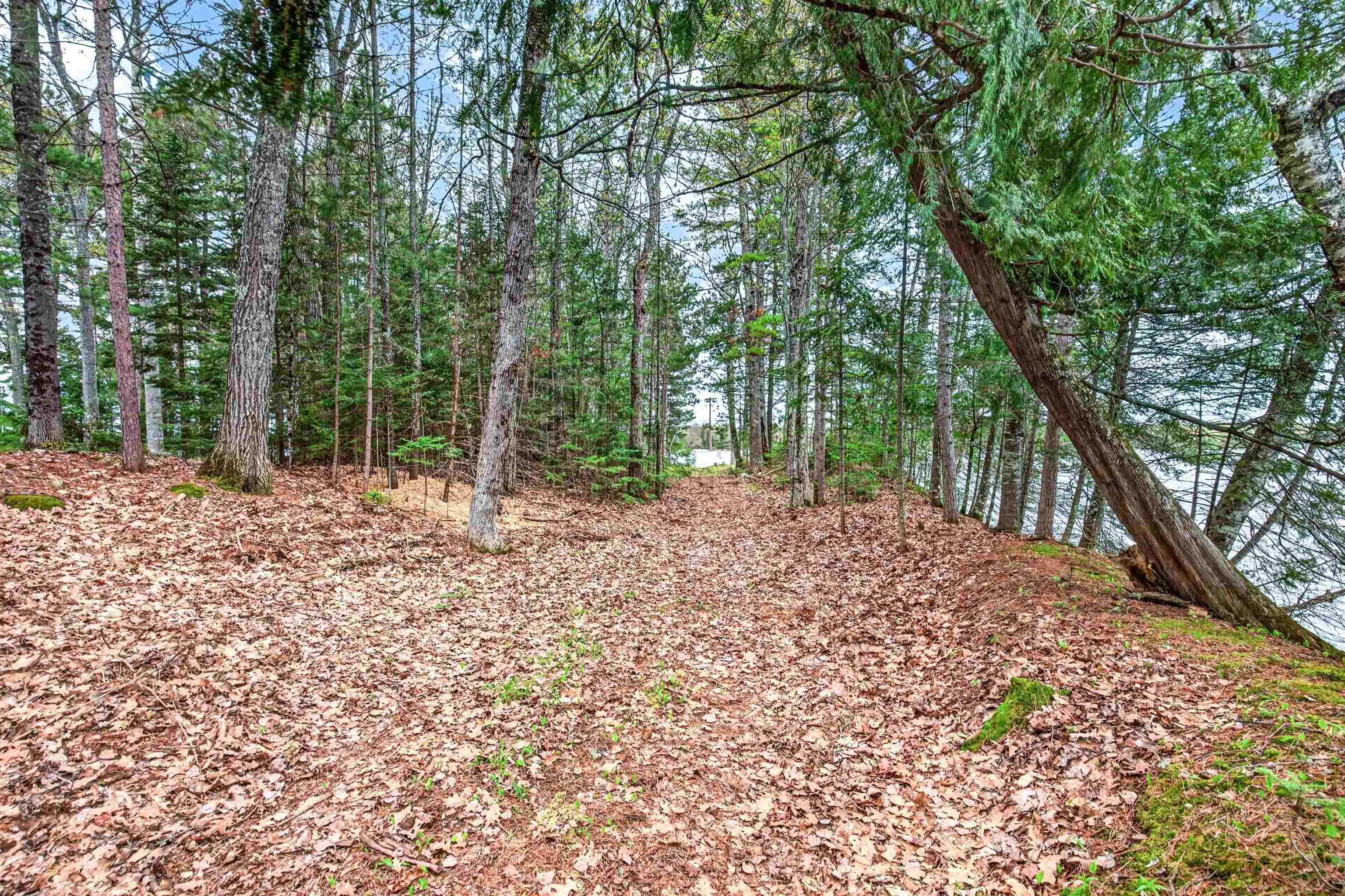 3980 Pedersen Trail Phelps, WI 54554 - Photo 62 of 90