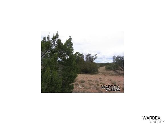 0 Off Of Arizona Road Ash Fork, AZ 86320 - Photo 1 of 1 Gallery Image 1
