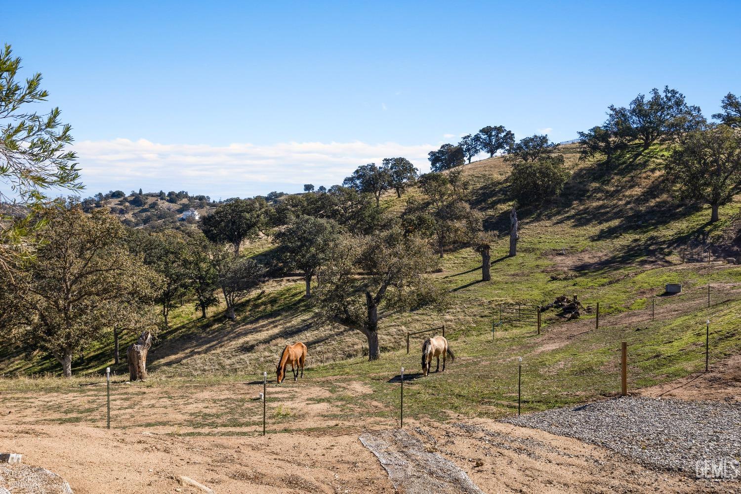 Undisclosed Address Tehachapi, CA 93561 - Photo 40 of 43 a view of a yard