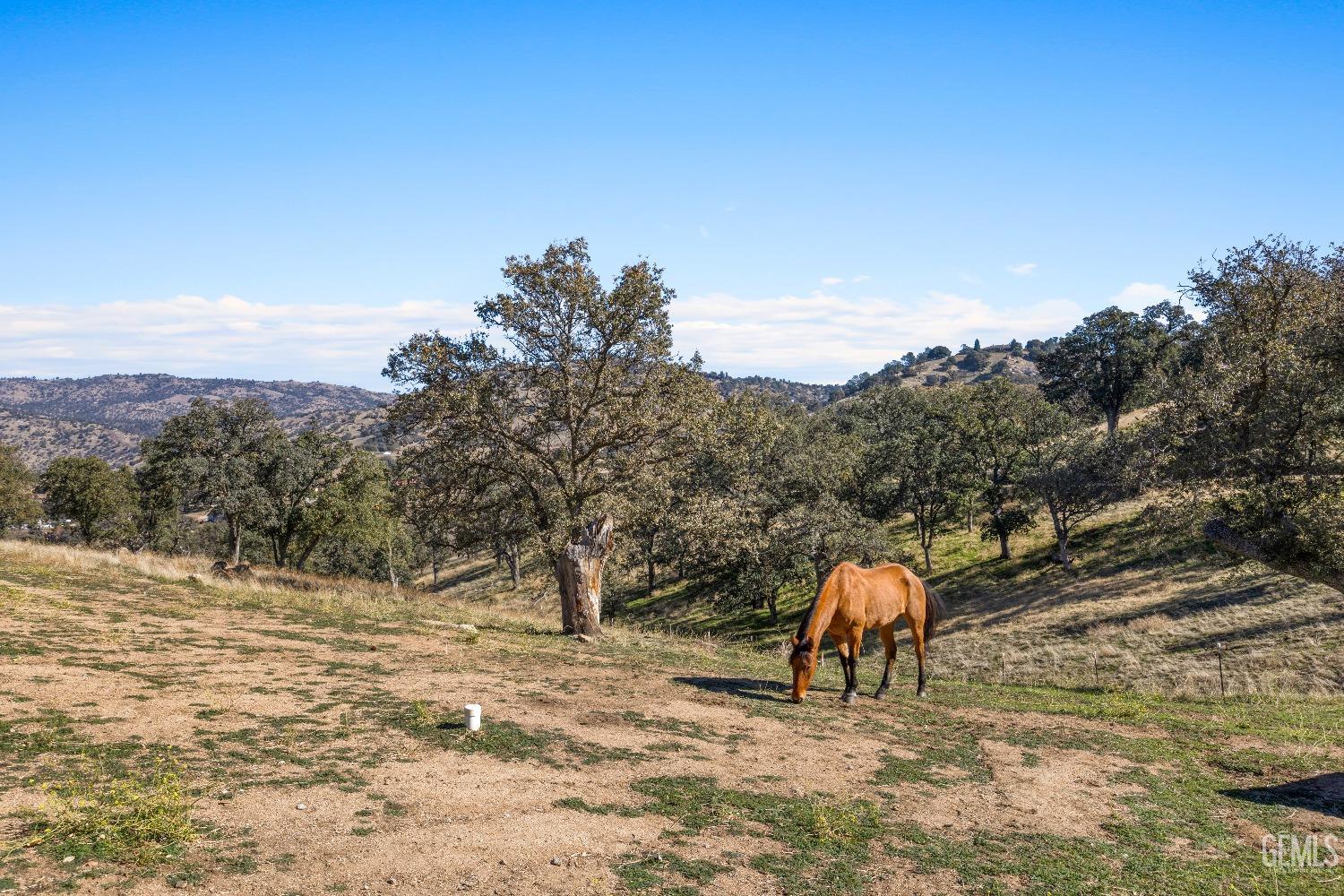 Undisclosed Address Tehachapi, CA 93561 - Photo 41 of 43 a view of outdoor space and yard